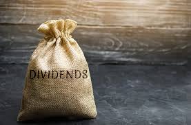 https://taxtron.ca/images/blog-images/Wha_is_section_112_dividends.jpg